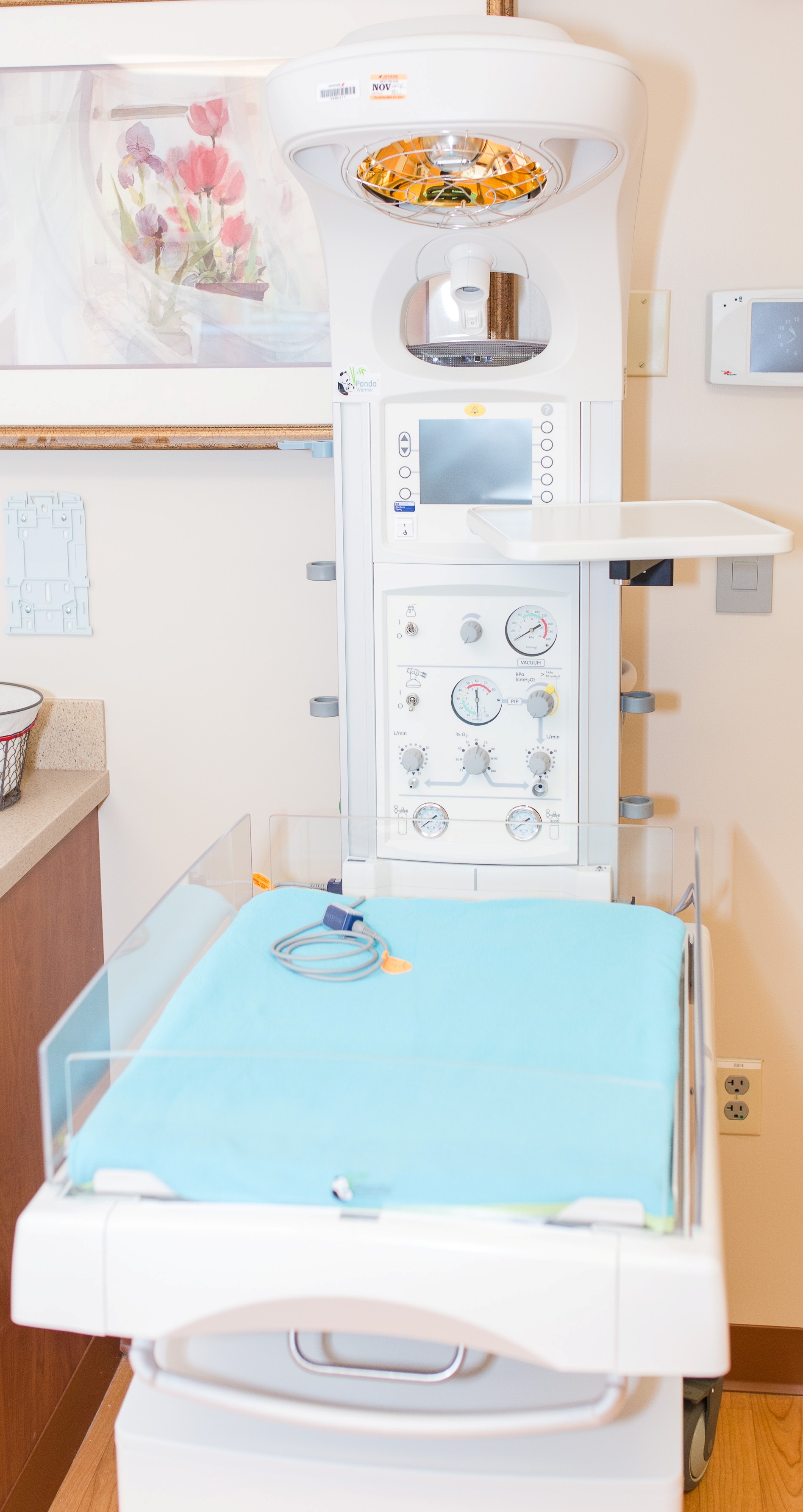 Tegenstander Kwestie Vroeg Panda Baby Warmer - Sentara CarePlex Hospital Maternity Services